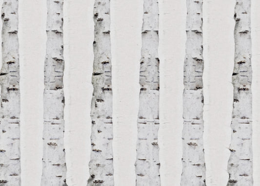 PAPEL MURAL NATURALEZA NAT034