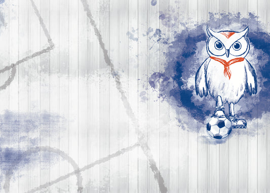 PAPEL MURAL DEPORTES BUH001
