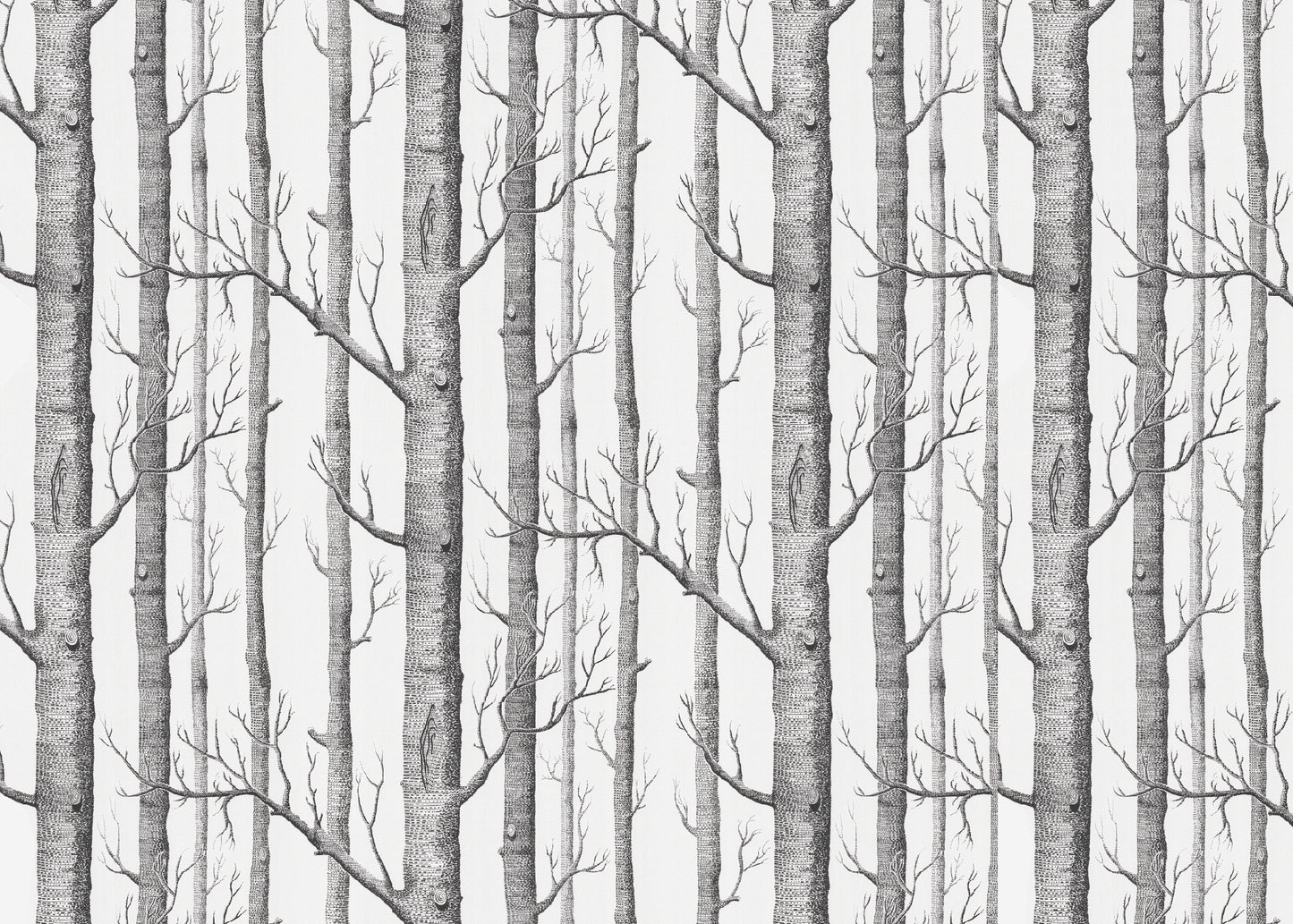 PAPEL MURAL NATURALEZA NAT051