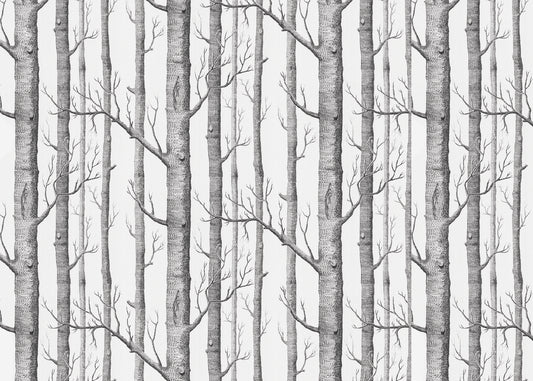 PAPEL MURAL NATURALEZA NAT051