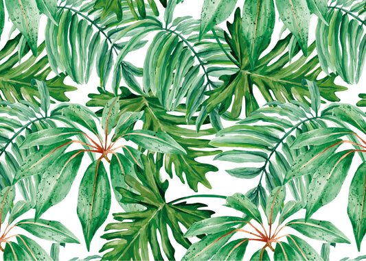PAPEL MURAL CO005
